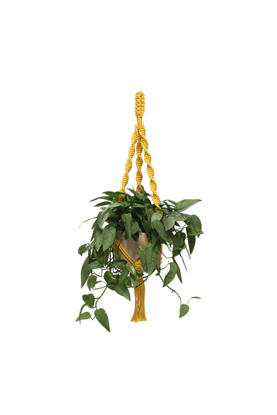 Original Plant Hanger