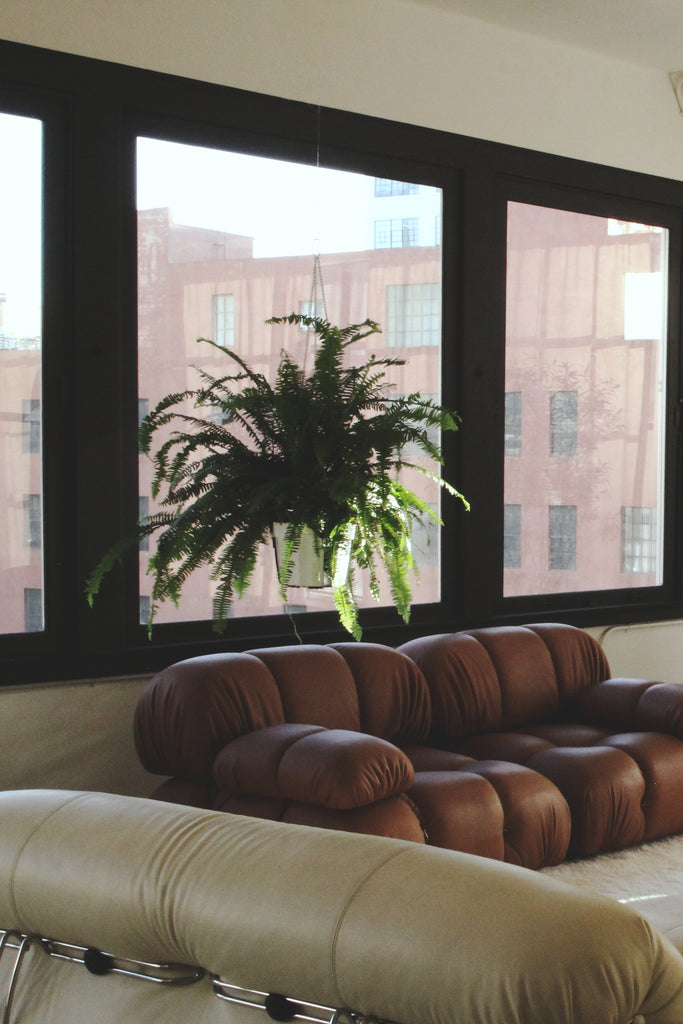 Vegan Leather Plant Hanger