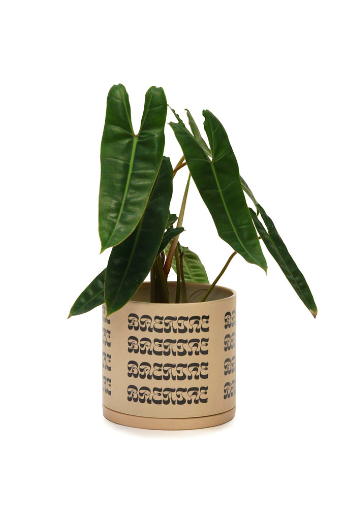 Breathe Plant Pot