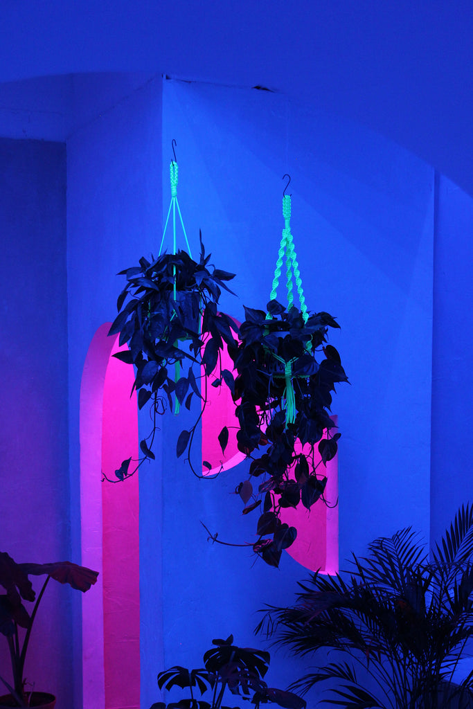 Neon Plant Hanger | Glow in the Dark