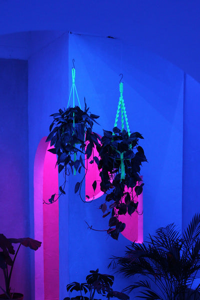 Neon Plant Hanger | Glow in the Dark
