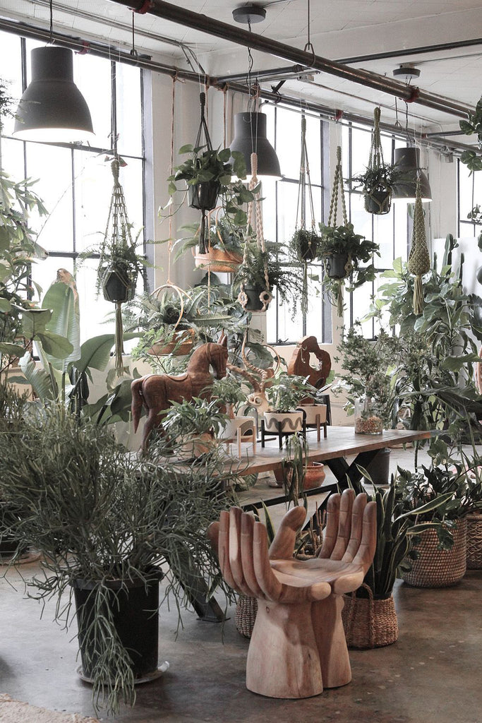 Fringed Plant Hanger