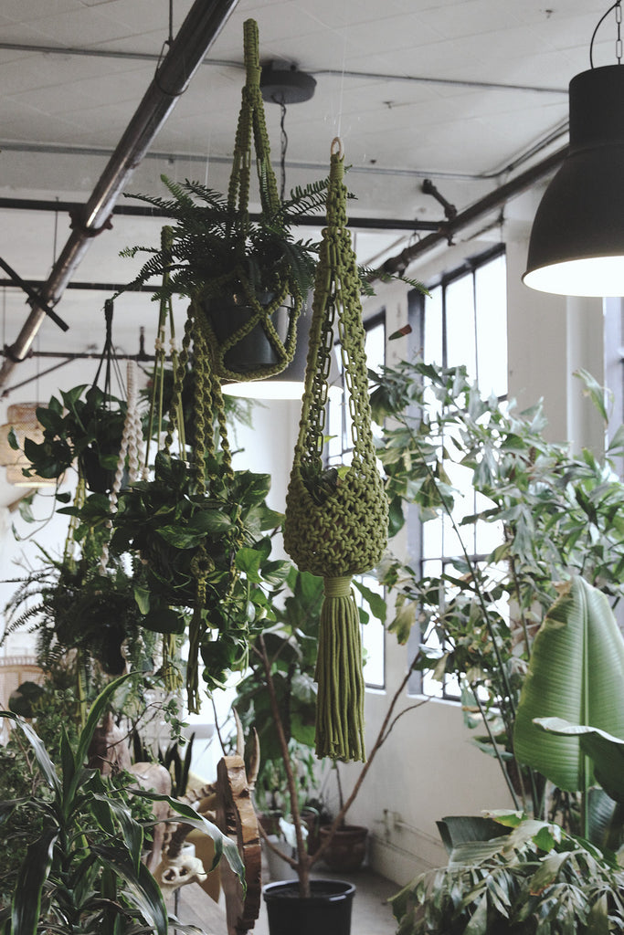 Plant Hanger