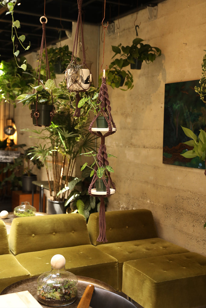 Double Plant Hanger