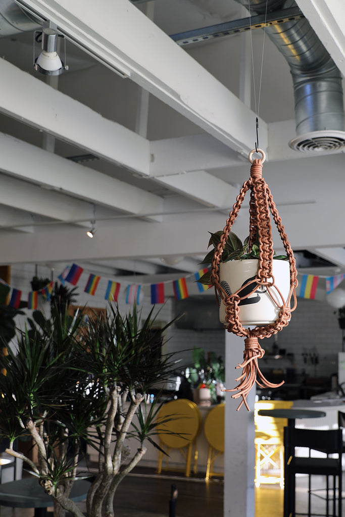 Leather Plant Hanger