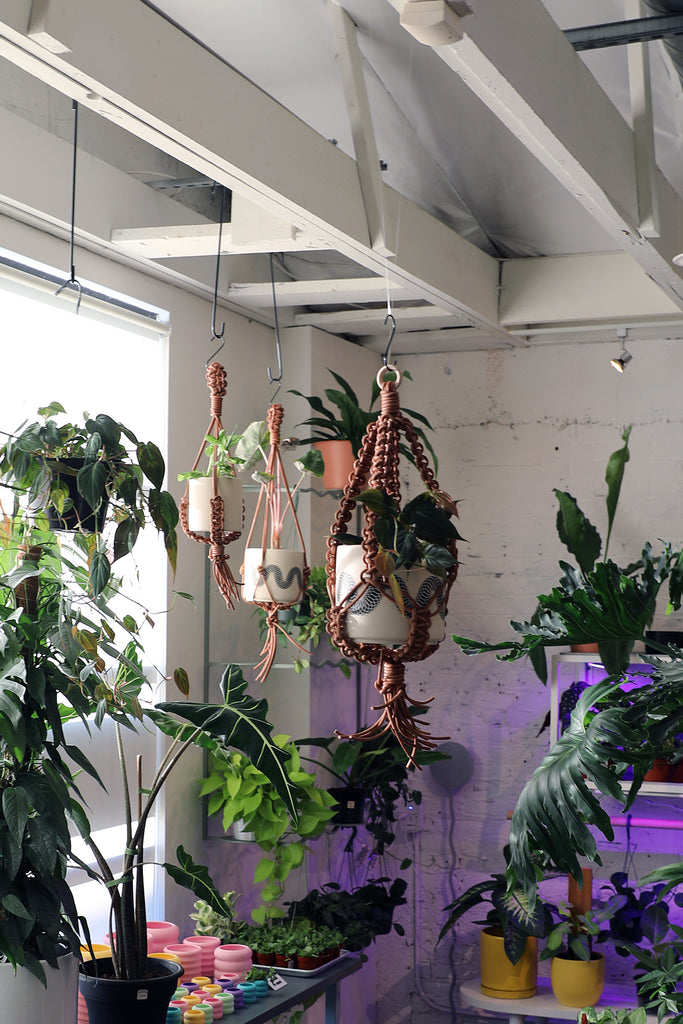 Leather Plant Hanger