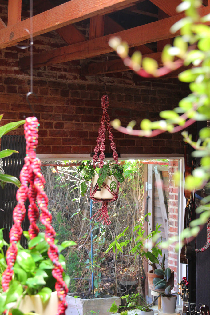 Plant Hanger