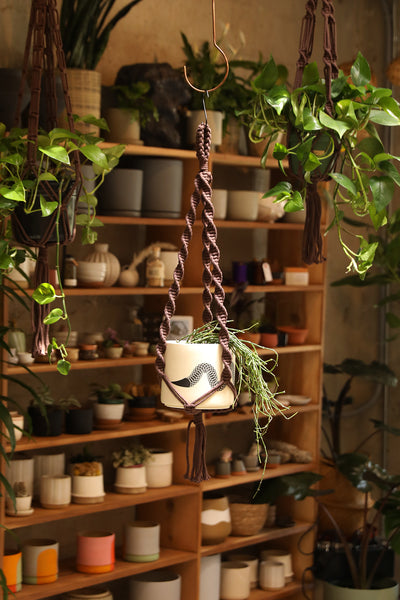 Plant Hanger