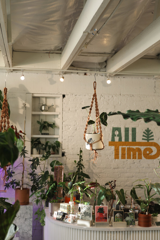 Leather Plant Hanger