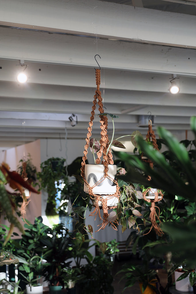 Leather Plant Hanger