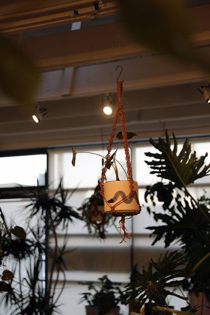 Leather Plant Hanger