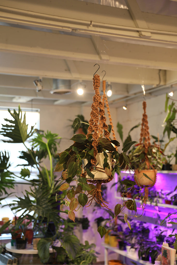 Leather Plant Hanger