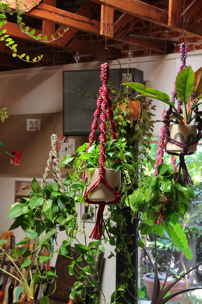 Plant Hanger