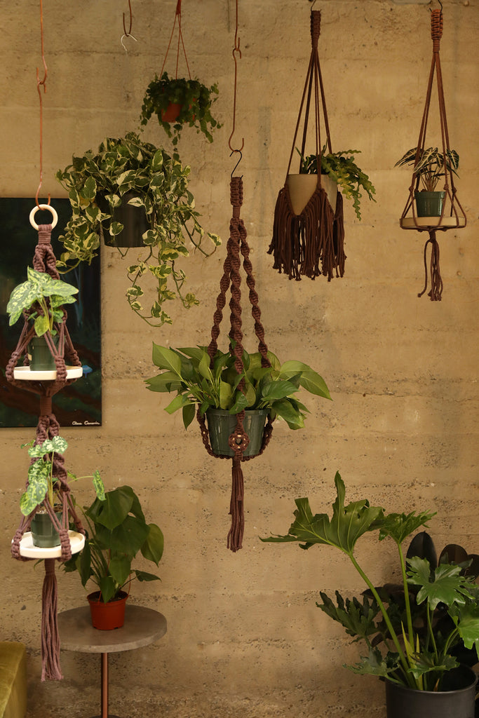 Plant Hanger w/ Wood Rings