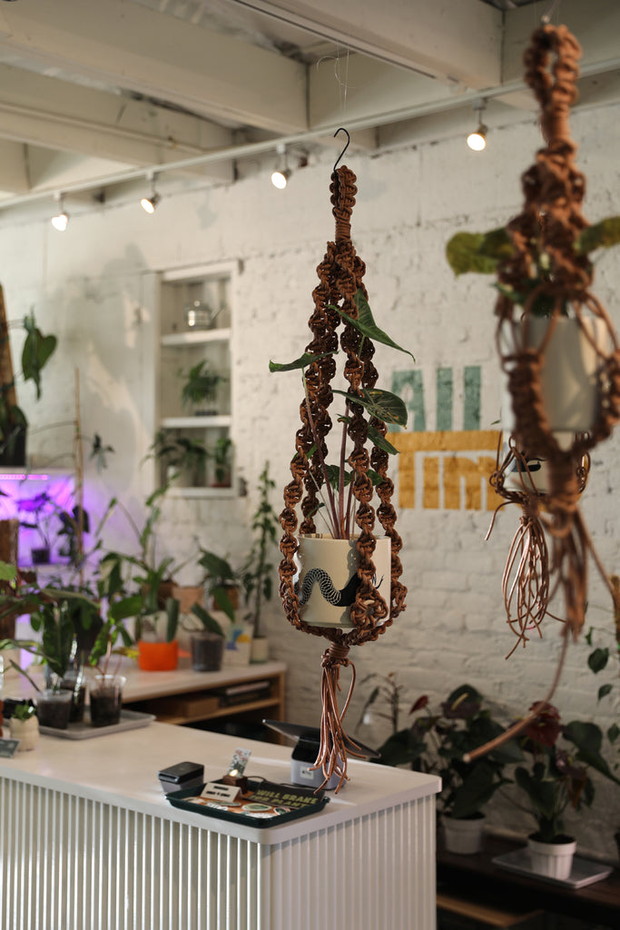 Leather Plant Hanger