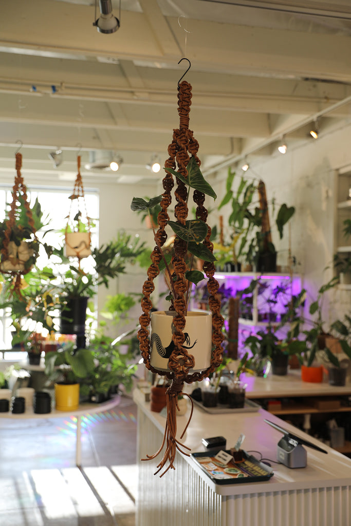 Leather Plant Hanger