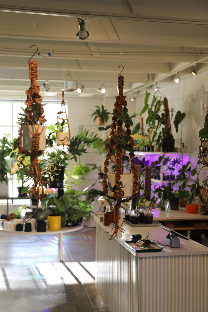 Leather Plant Hanger