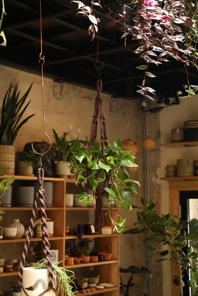 Plant Hanger