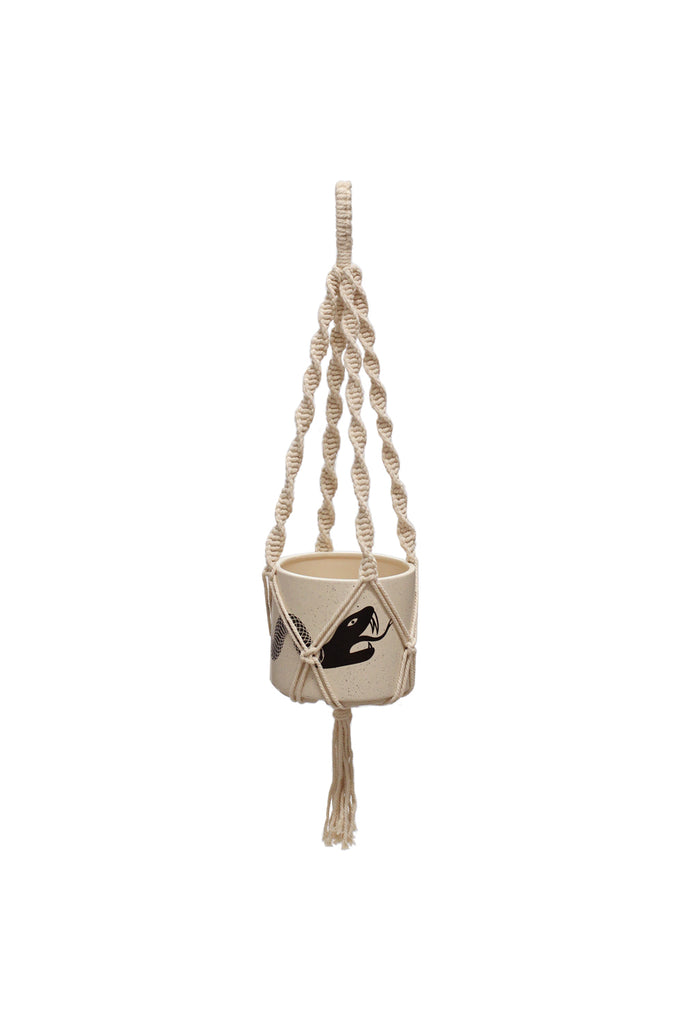 Plant Hanger