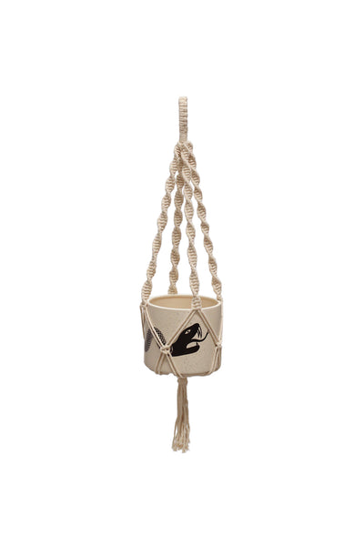 Plant Hanger
