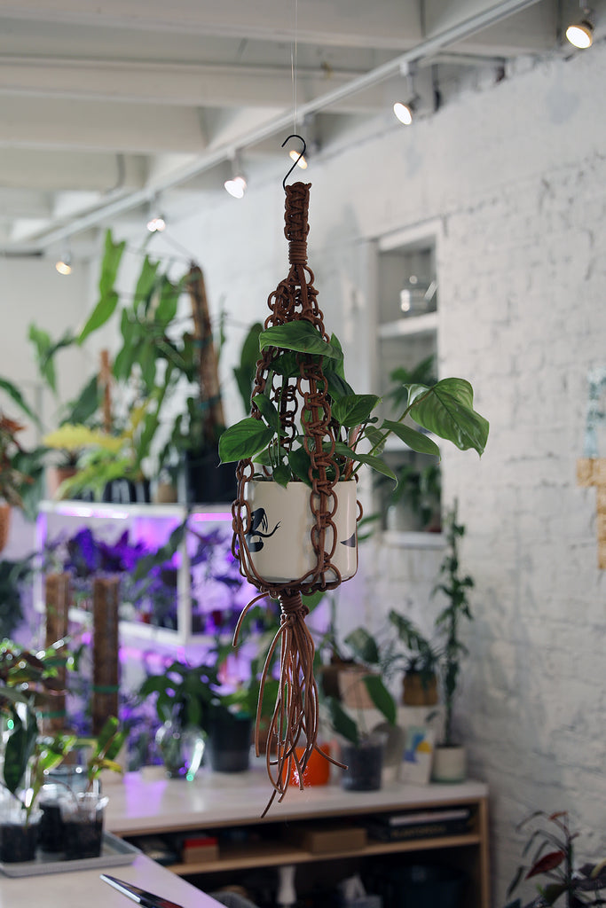 Leather Plant Hanger