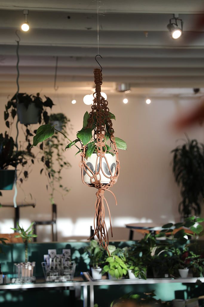 Leather Plant Hanger