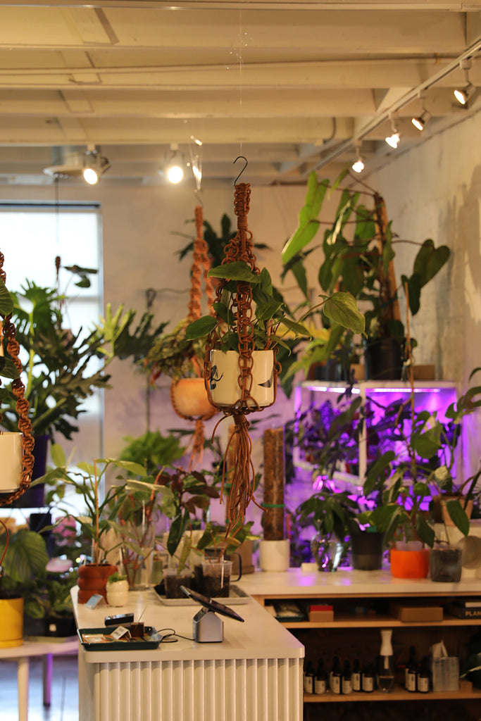 Leather Plant Hanger