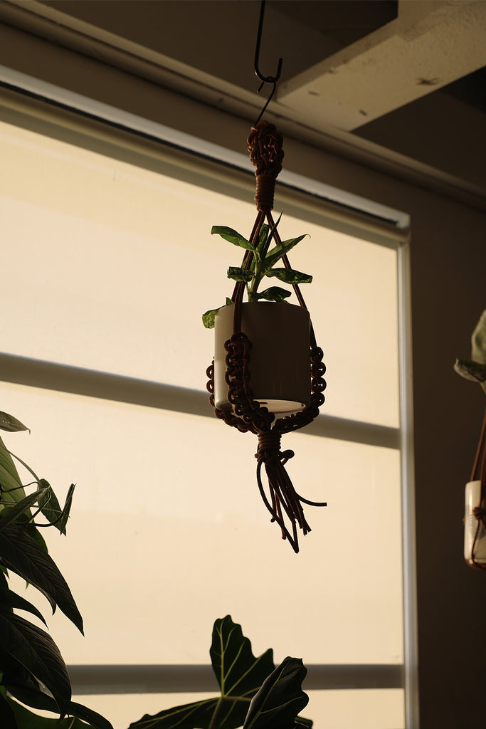 Mini Leather Plant Hanger