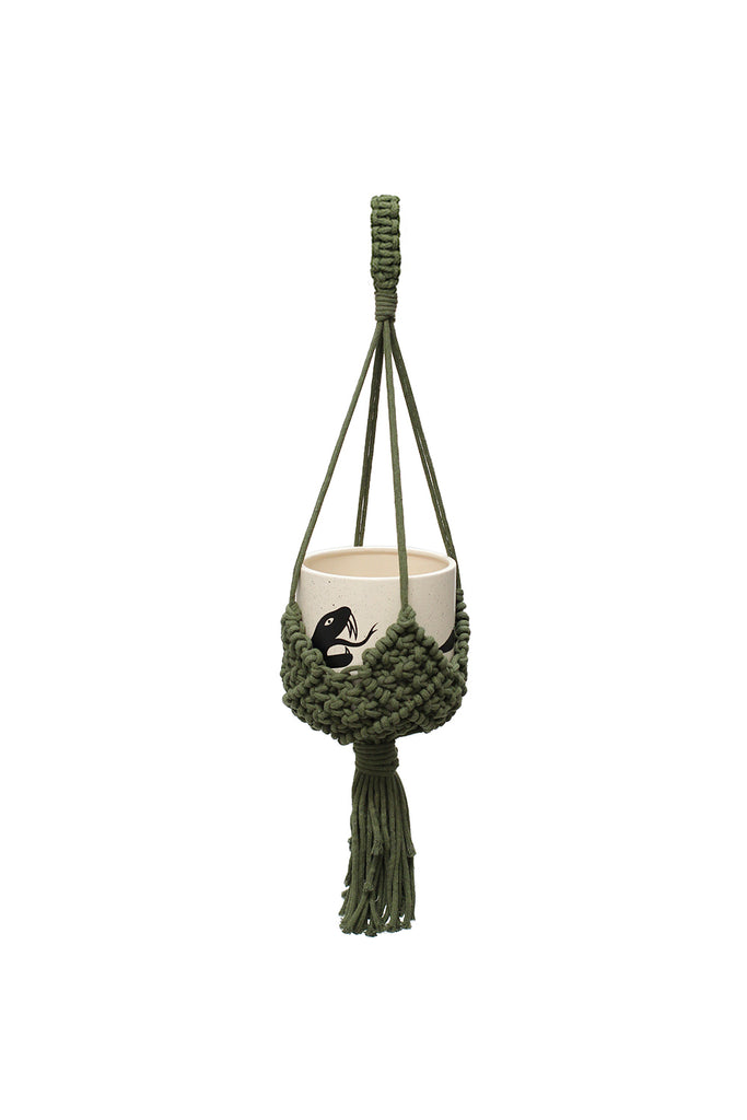 Plant Hanger