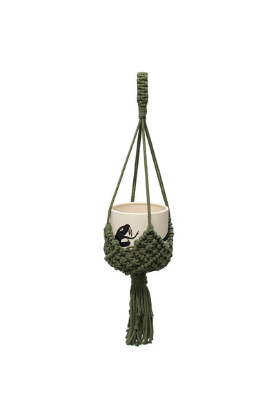 Plant Hanger