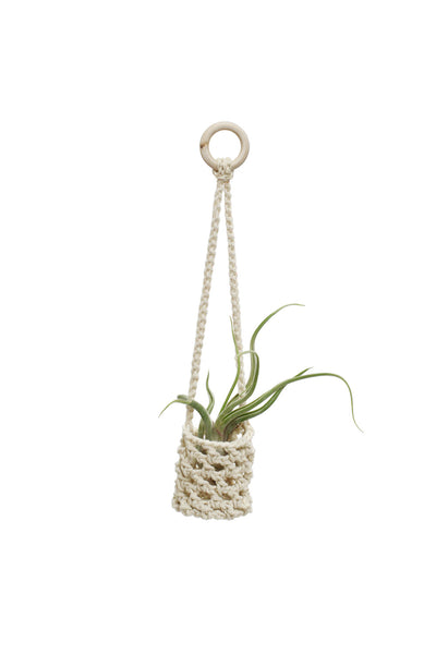 Mini Hanging Planter