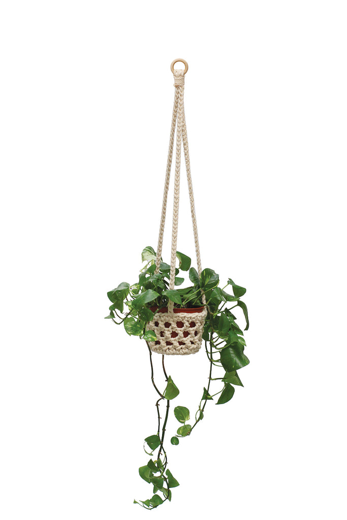 Plant Hanger