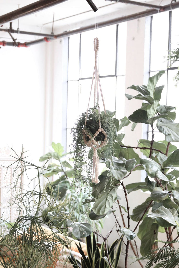 Beaded Plant Hanger