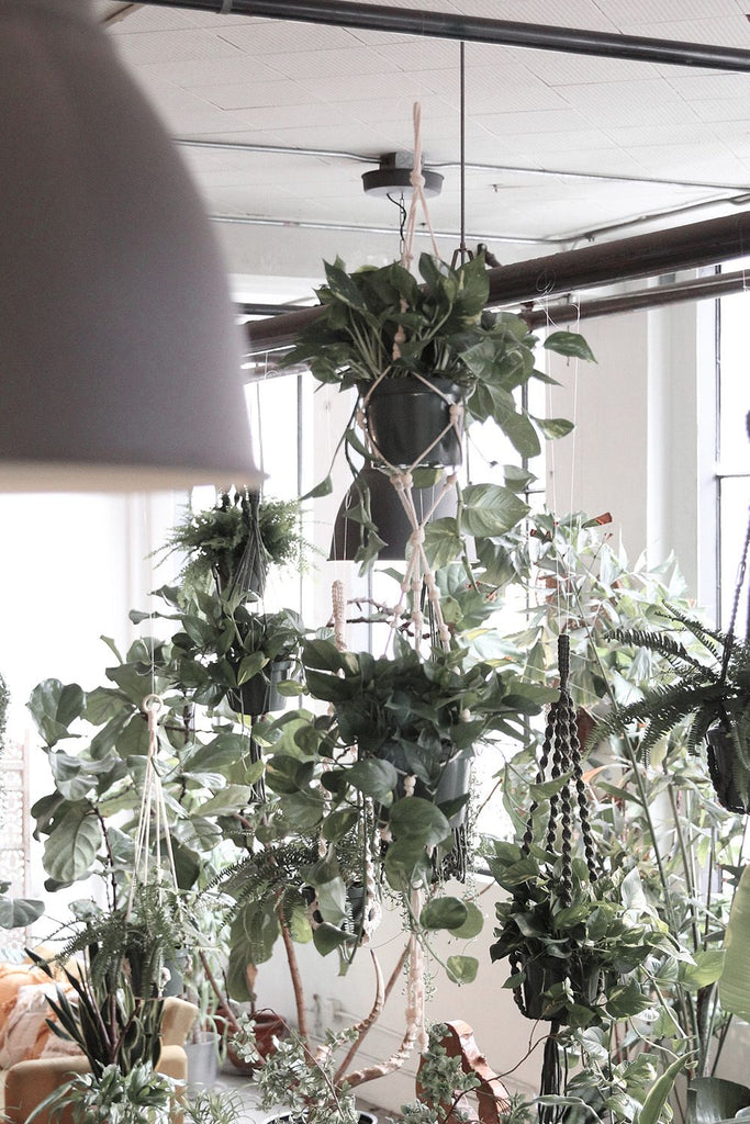Beaded Double Plant Hanger