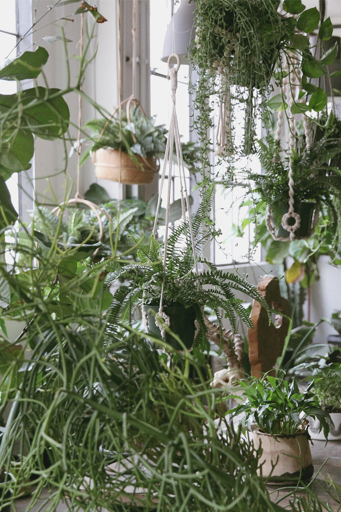 Original Plant Hanger