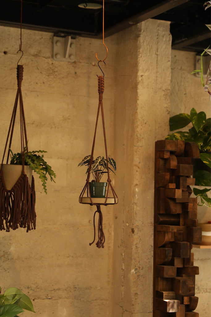Plant Hanger