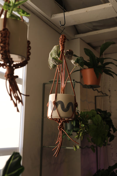 Leather Plant Hanger