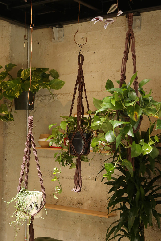 Plant Hanger