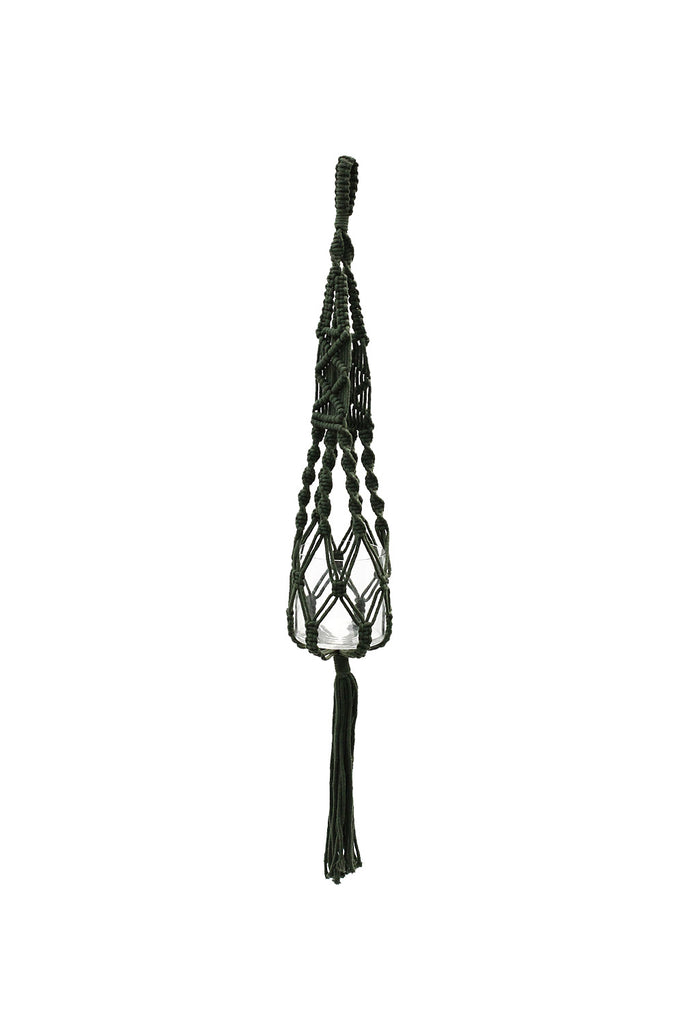 Plant Hanger