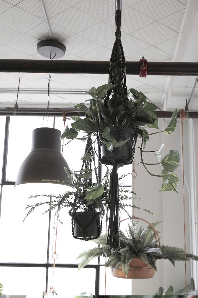 Plant Hanger