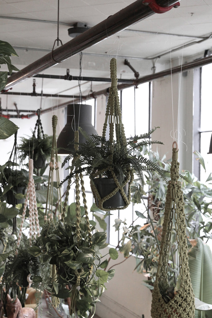 Original Plant Hanger