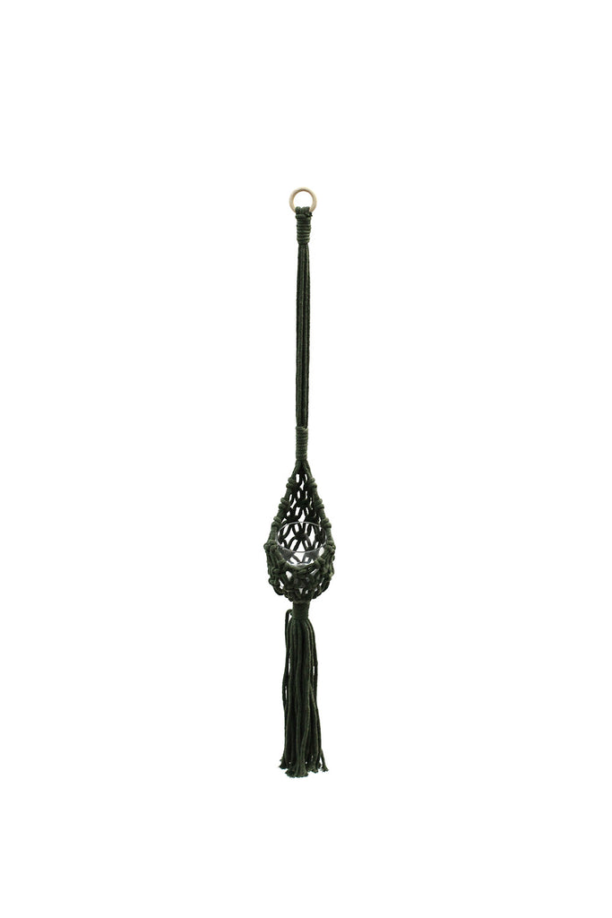 Air Plant Hanger