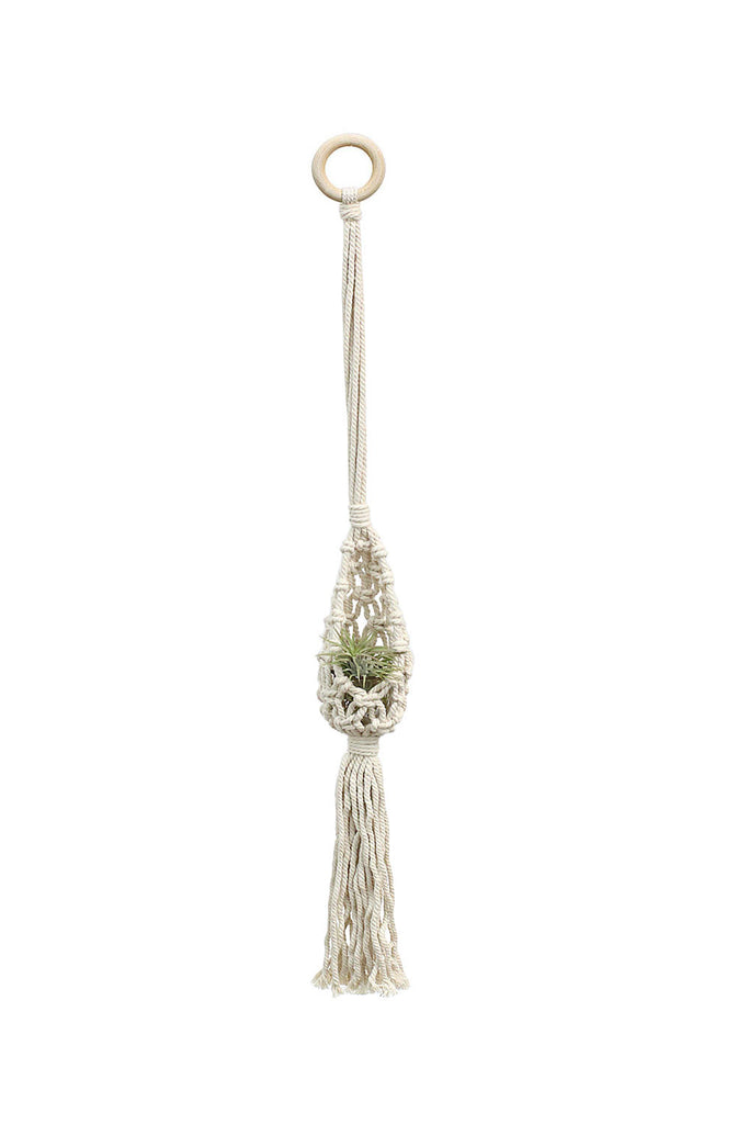 Air Plant Hanger