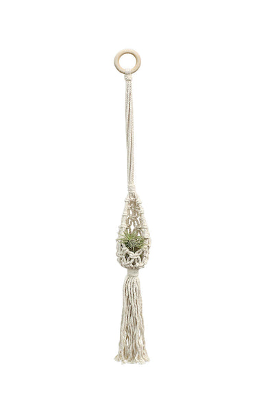 Air Plant Hanger