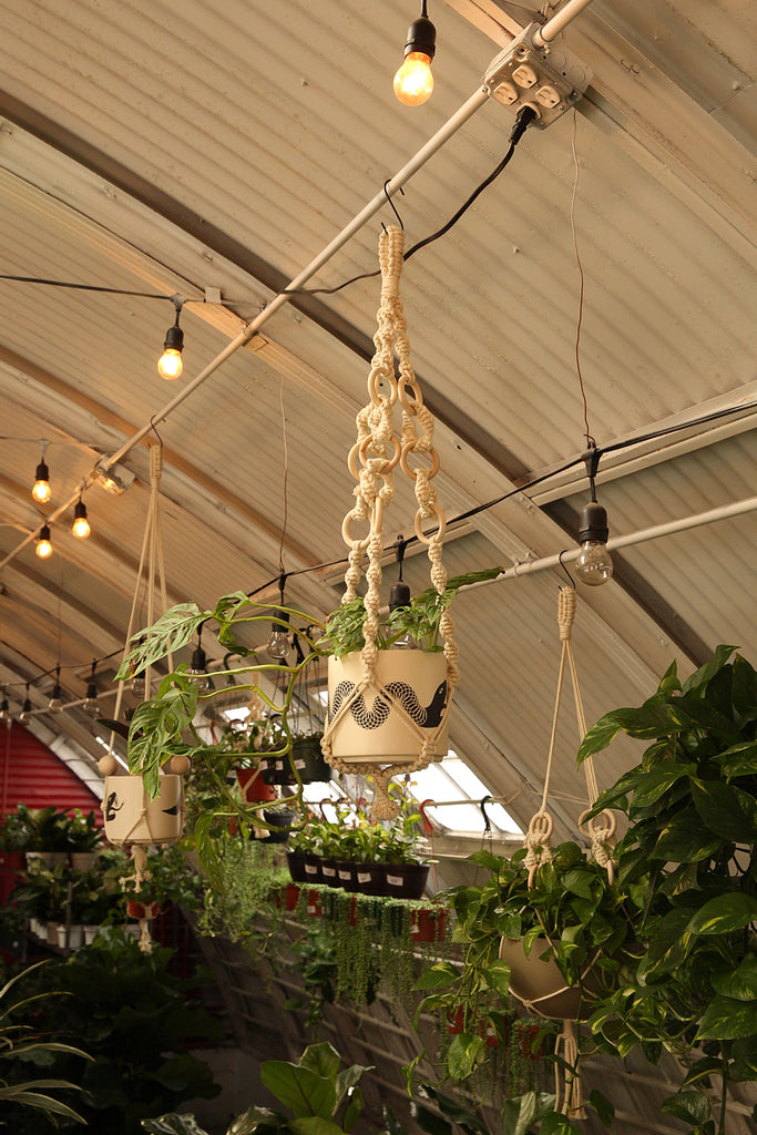 Plant Hanger
