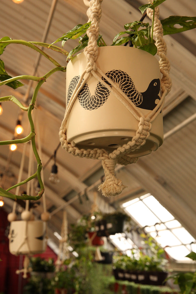 Plant Hanger