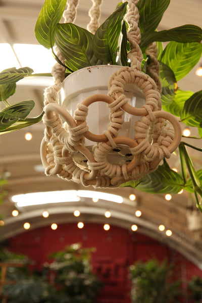 Plant Hanger