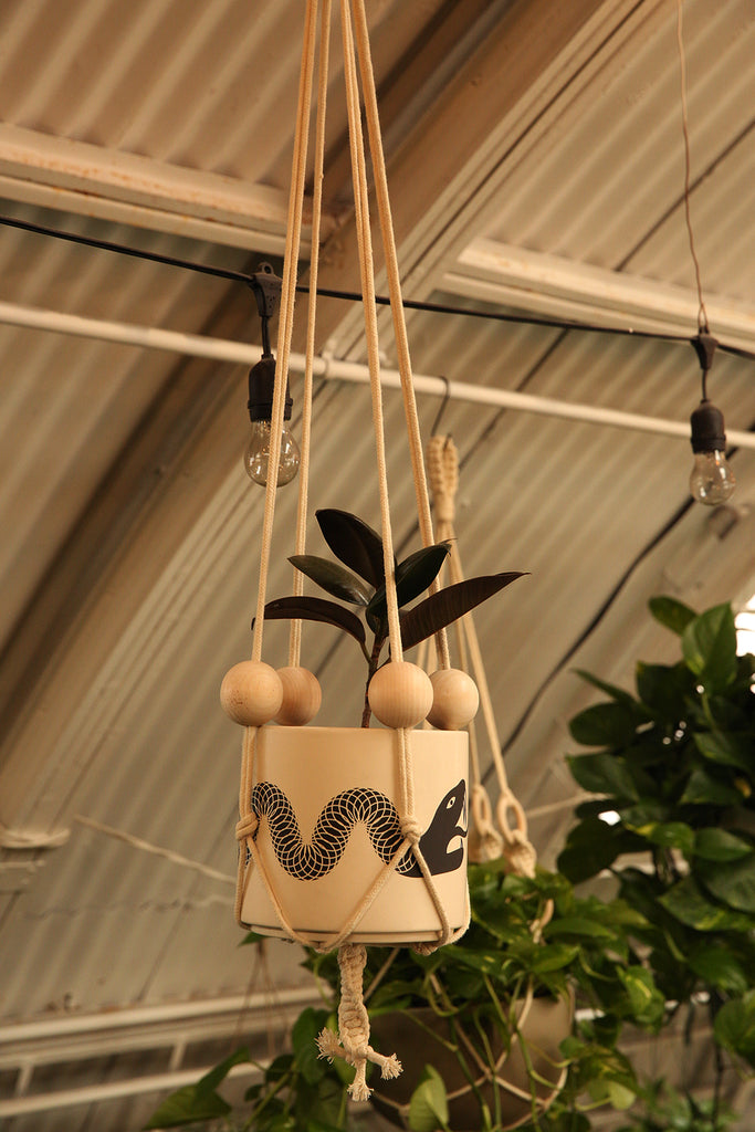 Plant Hanger