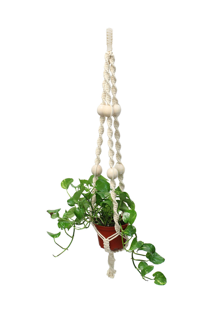 Plant Hanger