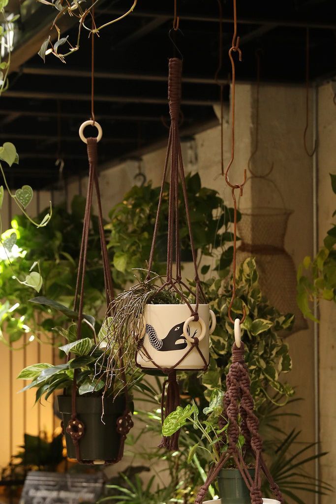 Plant Hanger w/ Wood Rings